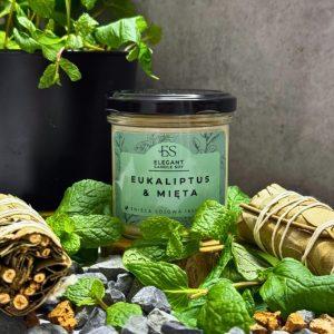 Eukalyptus & Minze (Eukaliptus & mięta) – Handgemachte Sojakerze aus der Manufaktur