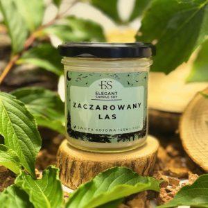 Zauberwald (Zaczarowany Las) – Handgemachte Sojakerze aus der Manufaktur