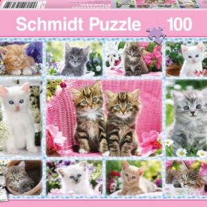 Katzenbabys - 100 Teile Puzzle