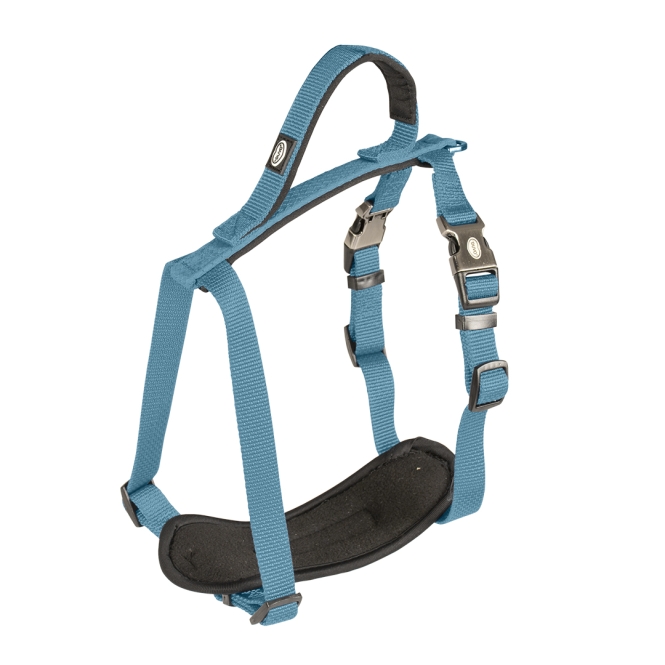 Duvoplus EXPLOR North Geschirr - Petrolblau - 30-40cm/15mm